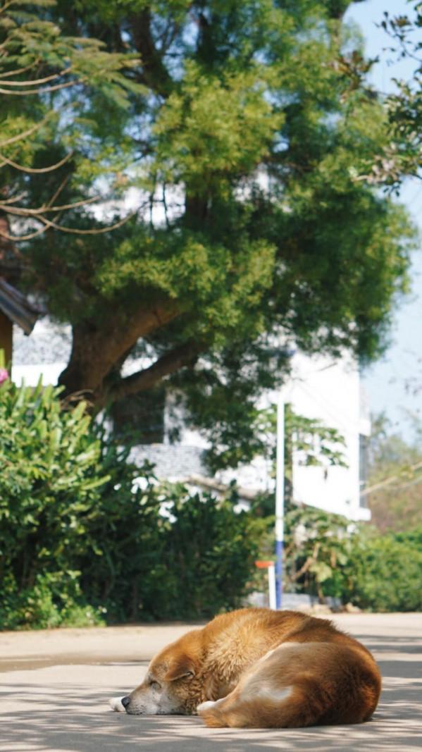 一個人來北海看海了 一個人來北海看海了