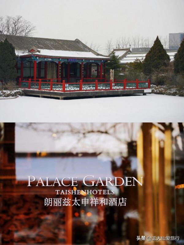 北京遛娃好去處感受在王府花園酒店擼貓的快樂