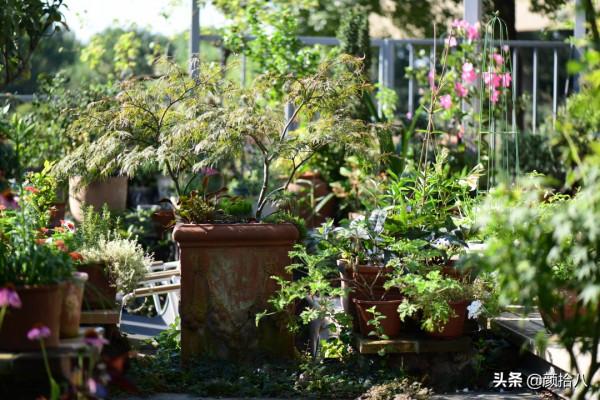 趕盡殺絕,花園裡最痛恨的蟲子 | 園丁 趕盡殺絕,花園裡最痛恨的蟲子 | 園丁