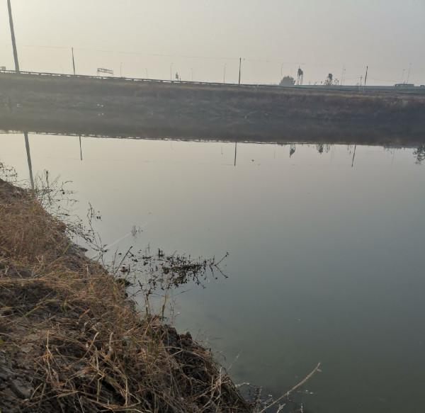 惡劣天氣也阻擋不了釣魚人的腳步，餵魚時刻準備著……