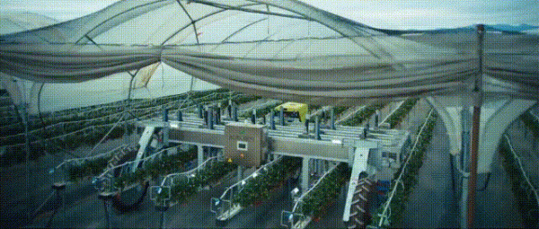 德國全機械化農業有多牛？看完讓你大開眼界，一個農民養活120人