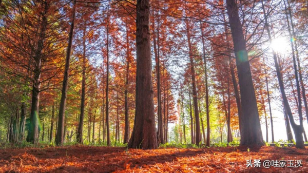 這個地方，會紅到你的心裡去