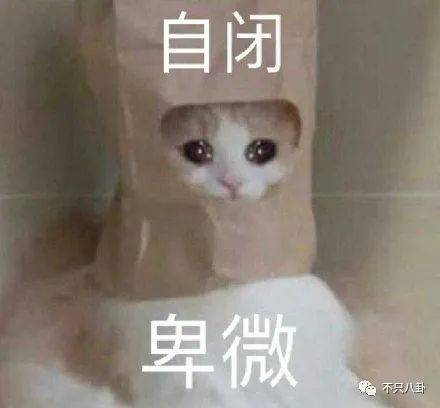 她終於演回現偶了，這次會爆嗎？