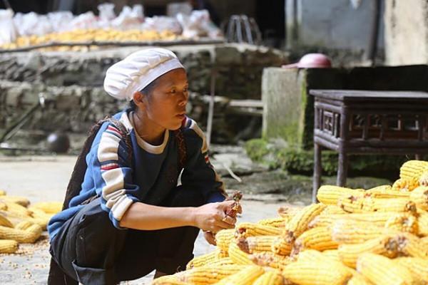 貴州一家五代人隱居山洞100年,給錢也不搬,如今已裝網路和家電 貴州一家五代人隱居山洞100年,給錢也不搬,如今已裝網路和家電