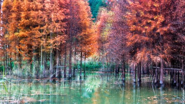 來萬盛“撩”最美的秋 來萬盛“撩”最美的秋