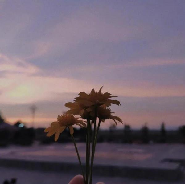 再等等吧 所以呢 你等到了嗎? 再等等吧 所以呢 你等到了嗎?