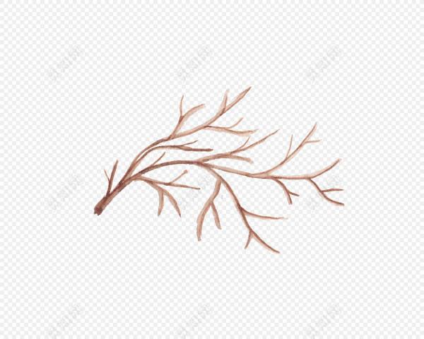 發現60歲阿姨養花，那叫一個“美”，主要是用的土好，還不花錢