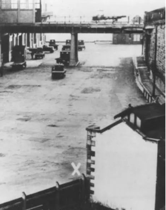 1935年拳擊手離奇失蹤，18天后，他的一隻手臂竟然在水族館出現