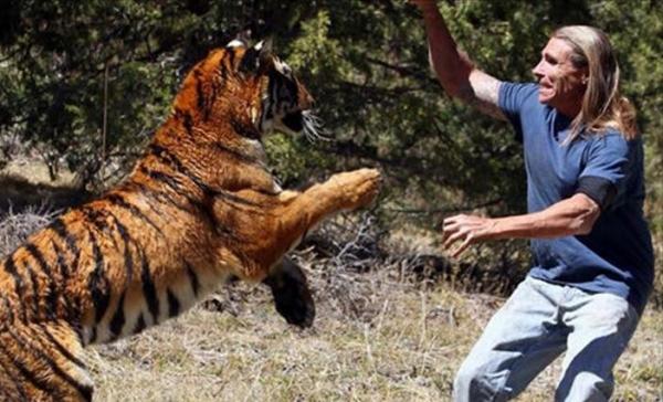 加拿大男子為救愛犬，拿刀砍下美洲獅的頭，外網因此吵翻了