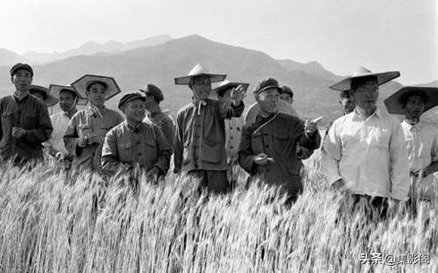 泰安市六七十年代老照片 泰安市六七十年代老照片