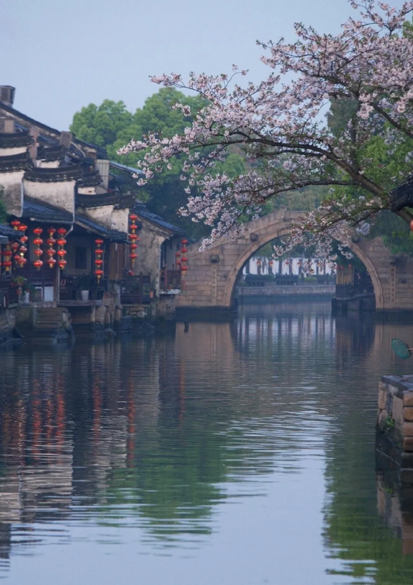 你在哪月出生，就是哪首詩