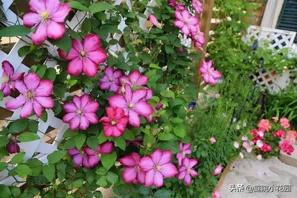 他賣掉城裡的房子，包了個山頭，打造集裝箱陽光房、小木屋、花園