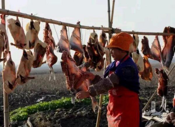 大雪,十一月節。大者,盛也。至此而雪盛矣 大雪,十一月節。大者,盛也。至此而雪盛矣