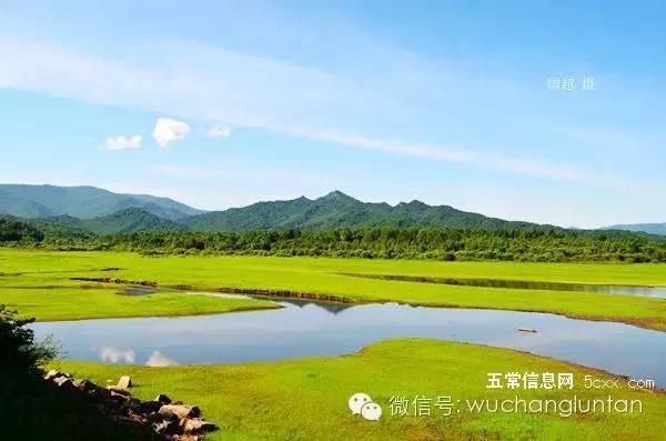 這是五常最美的夏日