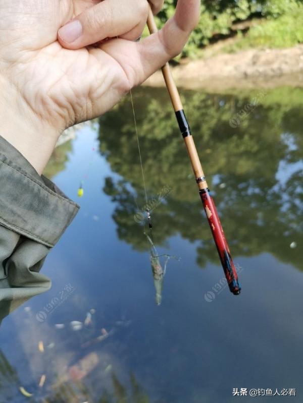 那個釣蝦仔又來了，順便開光新做的小物竿