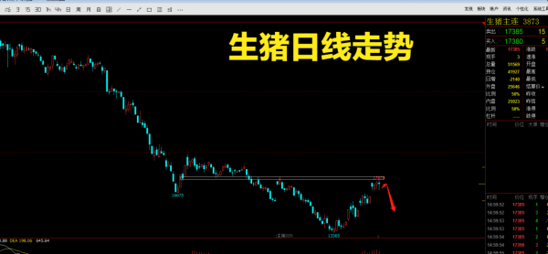 生豬上漲行情可能見頂了