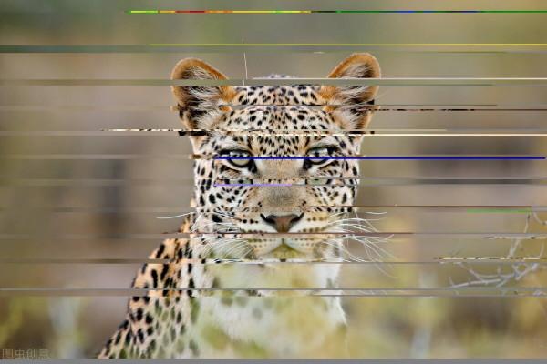 12個你不知道的冷知識，很少有書本提及，卻真實存在