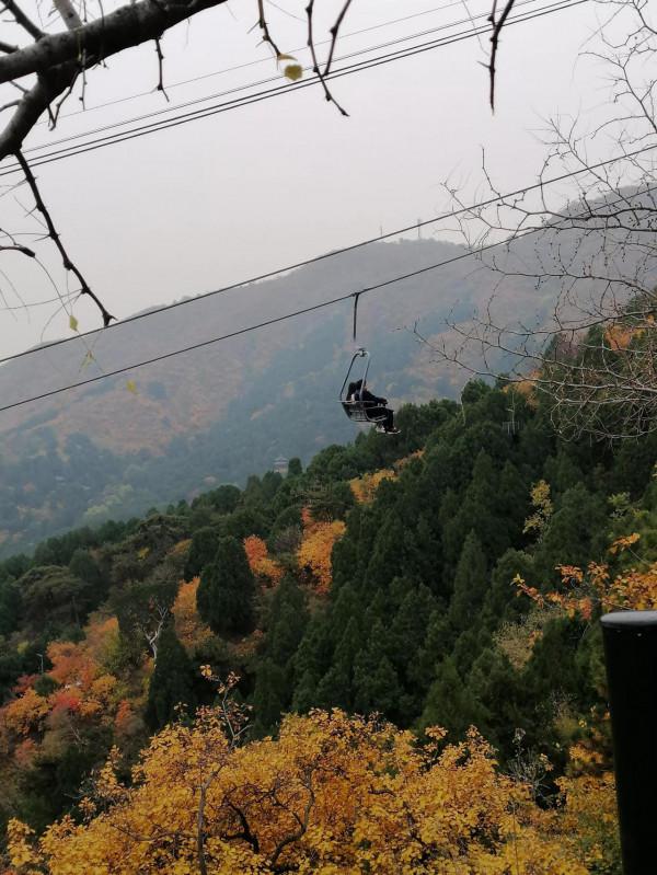 重溫香山紅葉美景 重溫香山紅葉美景