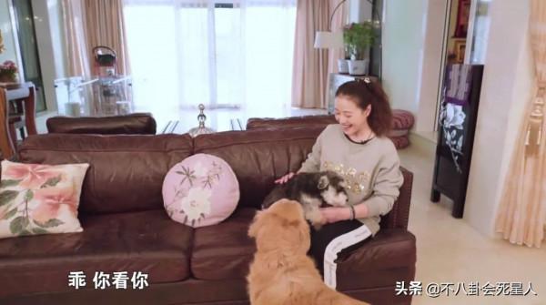 20年前就來內地撈金，如今賺得盆滿缽滿，這些TVB藝人真聰明