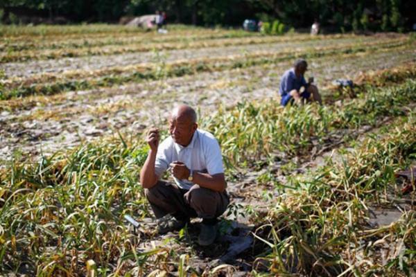 溫鐵軍：農村現在很多年輕人外出打工，未來田地誰來種？