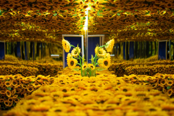 這麼冷的天兒，送您一份北京“室內玩法大全”！火速收藏