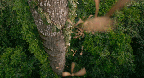 電影成真?再這麼下去,人類被自然災難吞噬就要成為現實 電影成真?再這麼下去,人類被自然災難吞噬就要成為現實