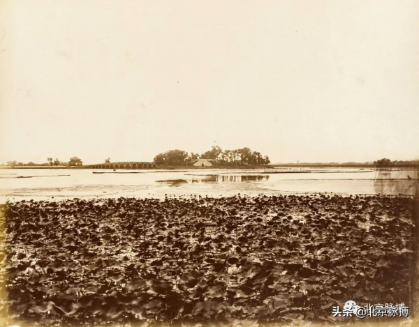 畫說北京丨頤和園裡的山河歲月