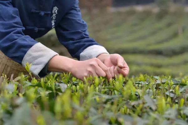 女子帶前夫改嫁16年，住在同一屋簷下，兩任丈夫成好兄弟