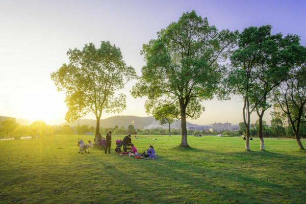 徵集啦!@老師家長,怎樣陪孩子,才是高質量陪伴 徵集啦!@老師家長,怎樣陪孩子,才是高質量陪伴