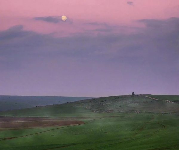 一個人情商極高的六大表現