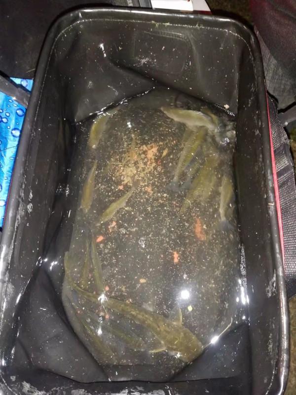 「雙11」開著電驢去釣魚,結果身心疲憊,聽我細細道來…… 「雙11」開著電驢去釣魚,結果身心疲憊,聽我細細道來……