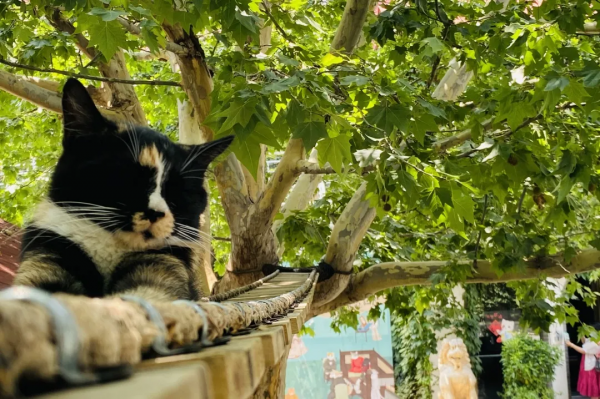 秋天的第一波兒狗糧,受著吧你 秋天的第一波兒狗糧,受著吧你