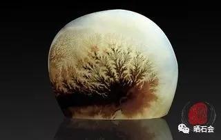 海洋精靈（下）