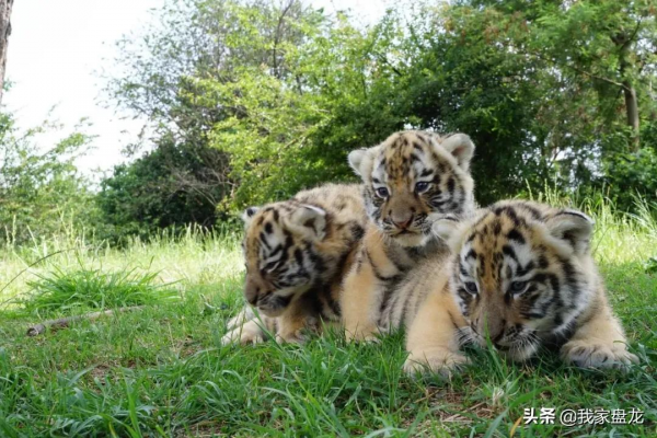 這個冬天，我們一起畢業