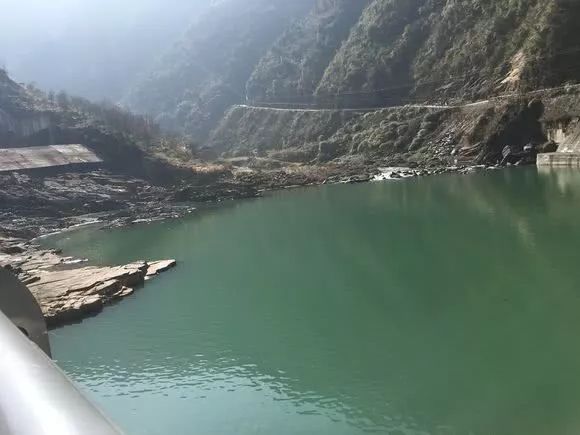 雲南出現一種蛇頭魚，兇猛異常，是本土魚還是外來物種？