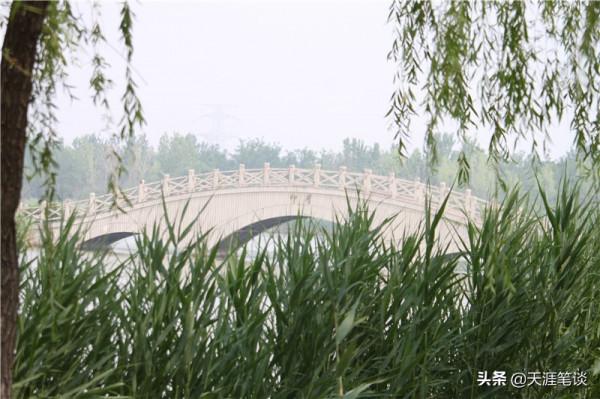 塘沽免費公園值得遊，順其自然地體驗，領略不一樣風景