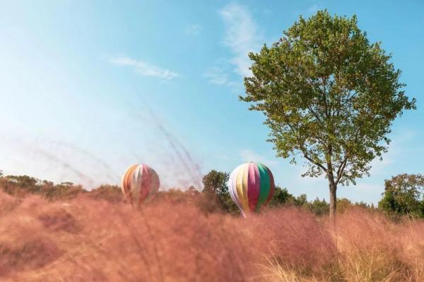 【探索】在長三角一體化示範區，尋找秋天的色彩