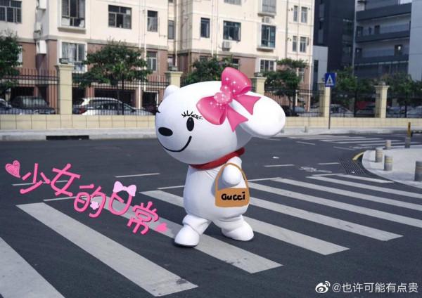 今天被一條狗狗治癒了不開心