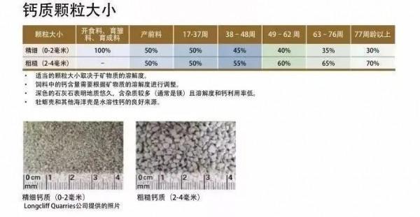 提高蛋雞產蛋量的營養要點