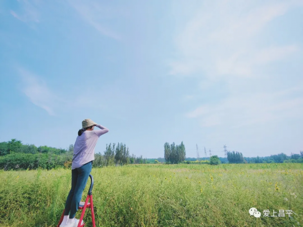 秋日農場嗨玩!露營野餐,種菜摘果,過嚮往的田園生活 秋日農場嗨玩!露營野餐,種菜摘果,過嚮往的田園生活