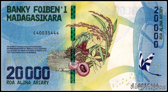 你不知道的20條國家冷知識——“奇妙的”馬達加斯加