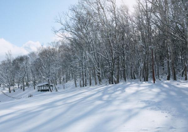 跟著電影去旅行走進《情書》的拍攝地——“浪漫雪國”小樽
