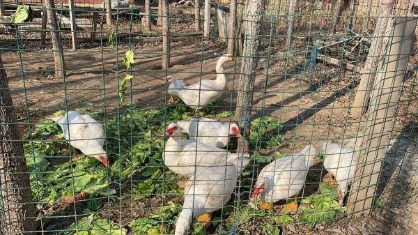 2021年12月6日我只想努力賺錢賺很多很多的錢