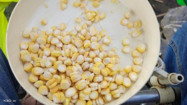 大魚“偷偷”潛入窩裡，會有這些徵兆出現，發現就要警惕起來了