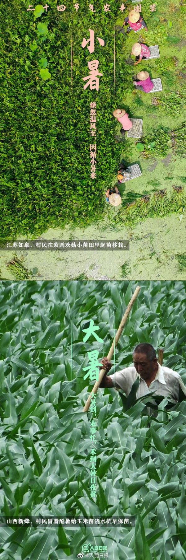 二十四節氣農事圖鑑 二十四節氣農事圖鑑