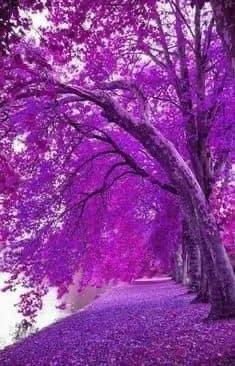 世界很大，風景很美，而你卻不是那個想走就走的人