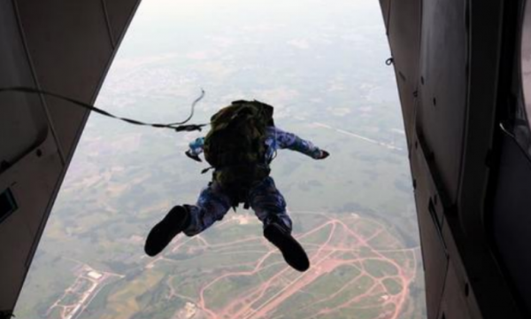 飛行員跳傘，不幸被掛樹上70年，身體竟和樹枝融為一體