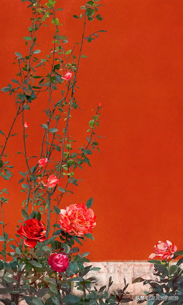 周遊|“今生世上再無他,我也無需看任何人” 周遊|“今生世上再無他,我也無需看任何人”