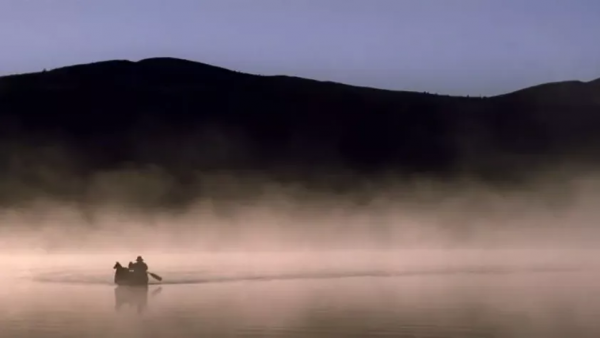 最美的電影，看完整個人都舒服了