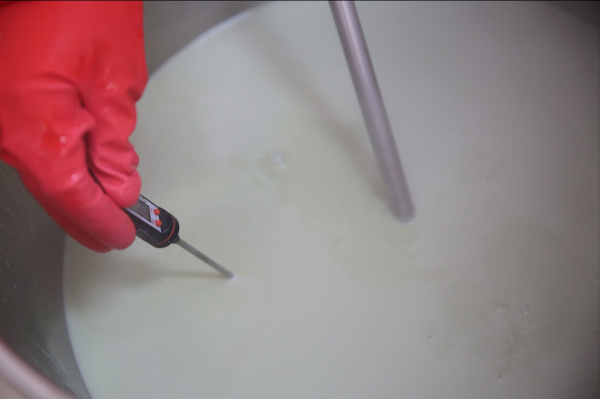 冬天饞豆腐，用不著出門買，一把黃豆一勺白醋，自己在家就能做